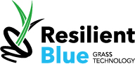 Resilient Blue